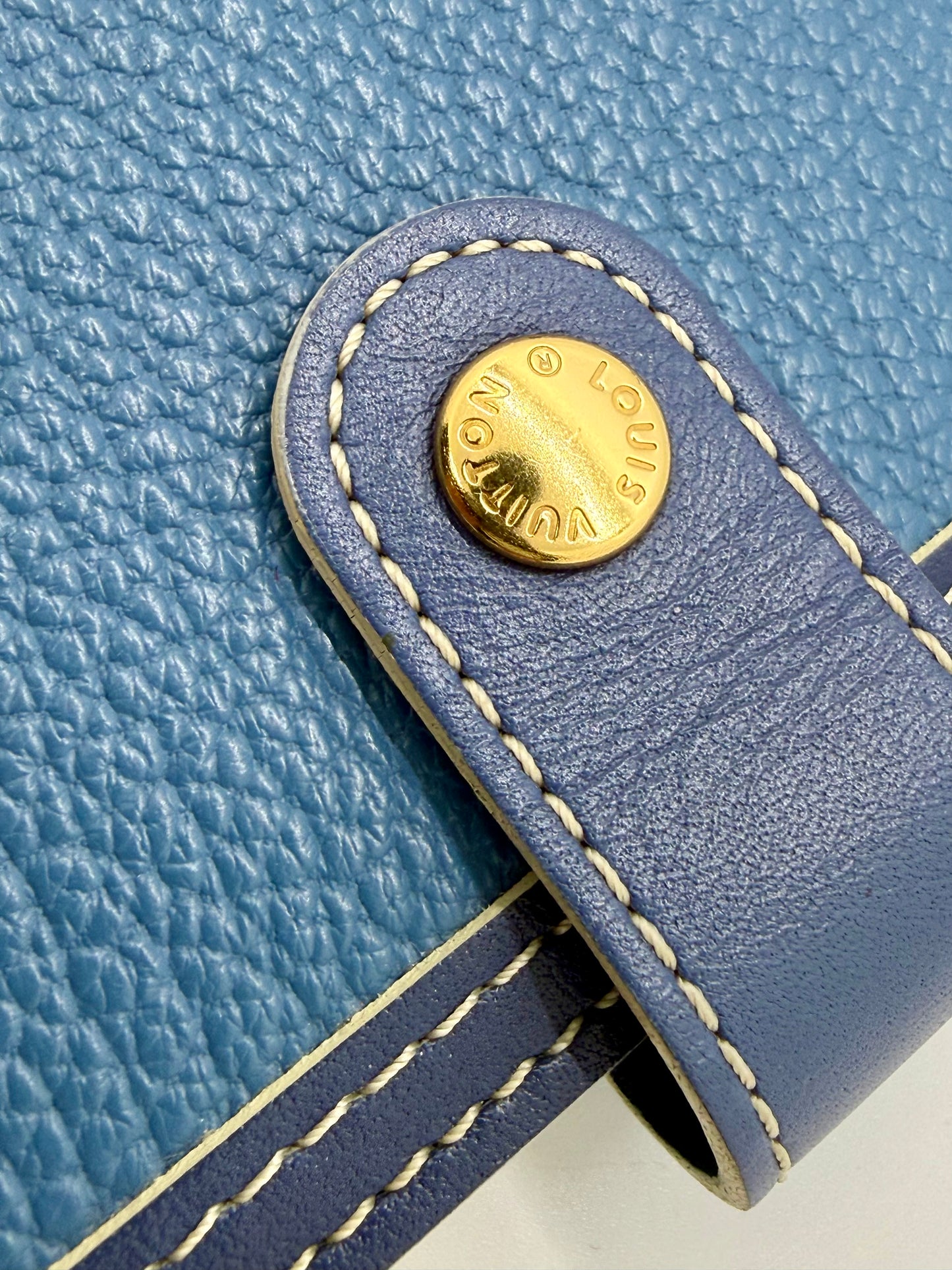 Louis Vuitton Taiga Agenda PM-Blue Leather-VINTAGE Organizer