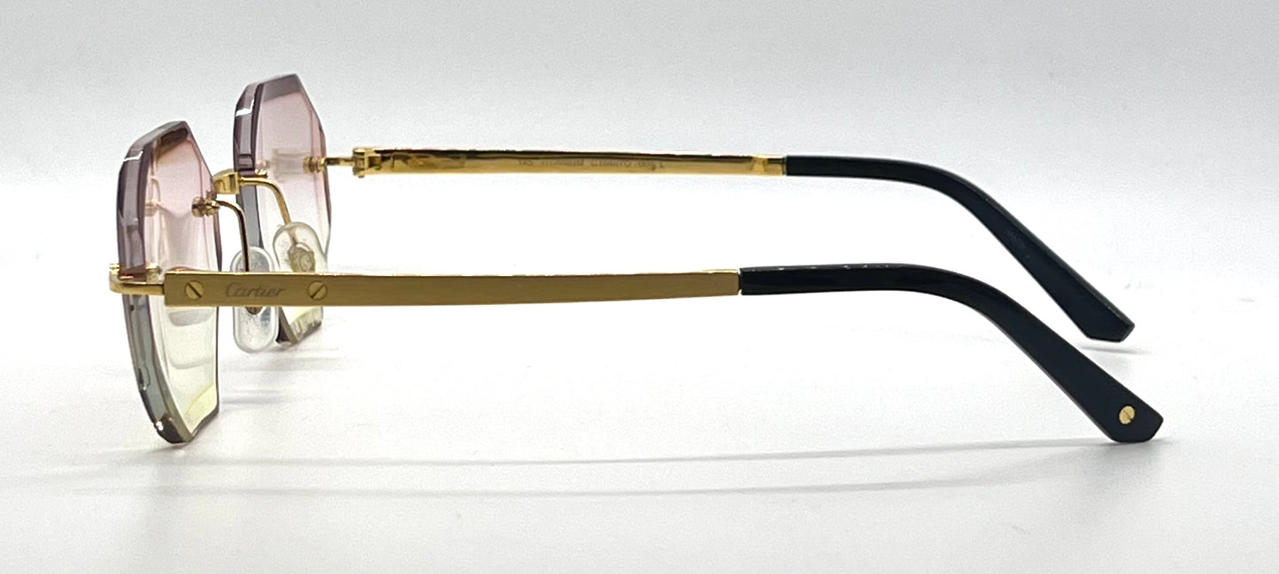 Cartier Santos CT0407O Gold Titanium-New Custom Transitions Sunglasses Full Kit