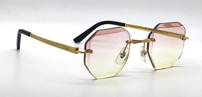 Cartier Santos CT0407O Gold Titanium-New Custom Transitions Sunglasses Full Kit