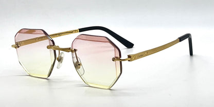 Cartier Santos CT0407O Gold Titanium-New Custom Transitions Sunglasses Full Kit