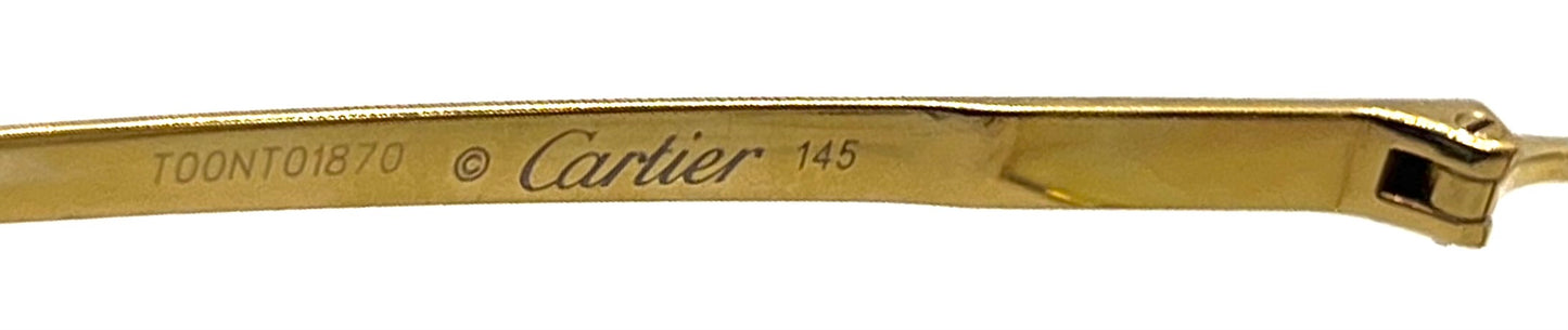 Cartier Santos CT0407O Gold Titanium-New Custom Transitions Sunglasses Full Kit