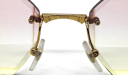 Cartier Santos CT0407O Gold Titanium-New Custom Transitions Sunglasses Full Kit